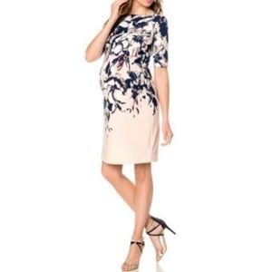 Taylor For A Pea In The Pod Maternity Floral Dress